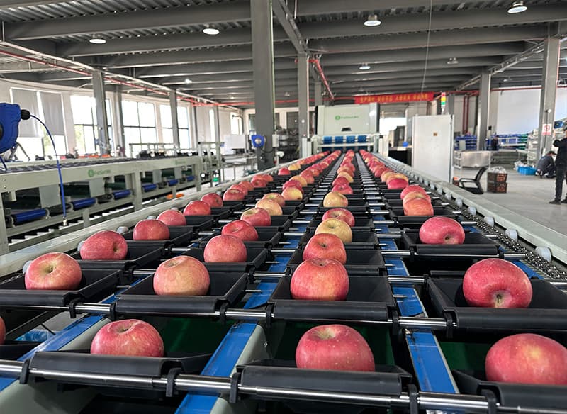 images/1735199704246apple processing machine.jpg